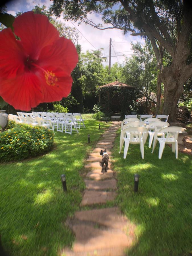 Avenue O Bed And Breakfast กาลเวสตัน ภายนอก รูปภาพ